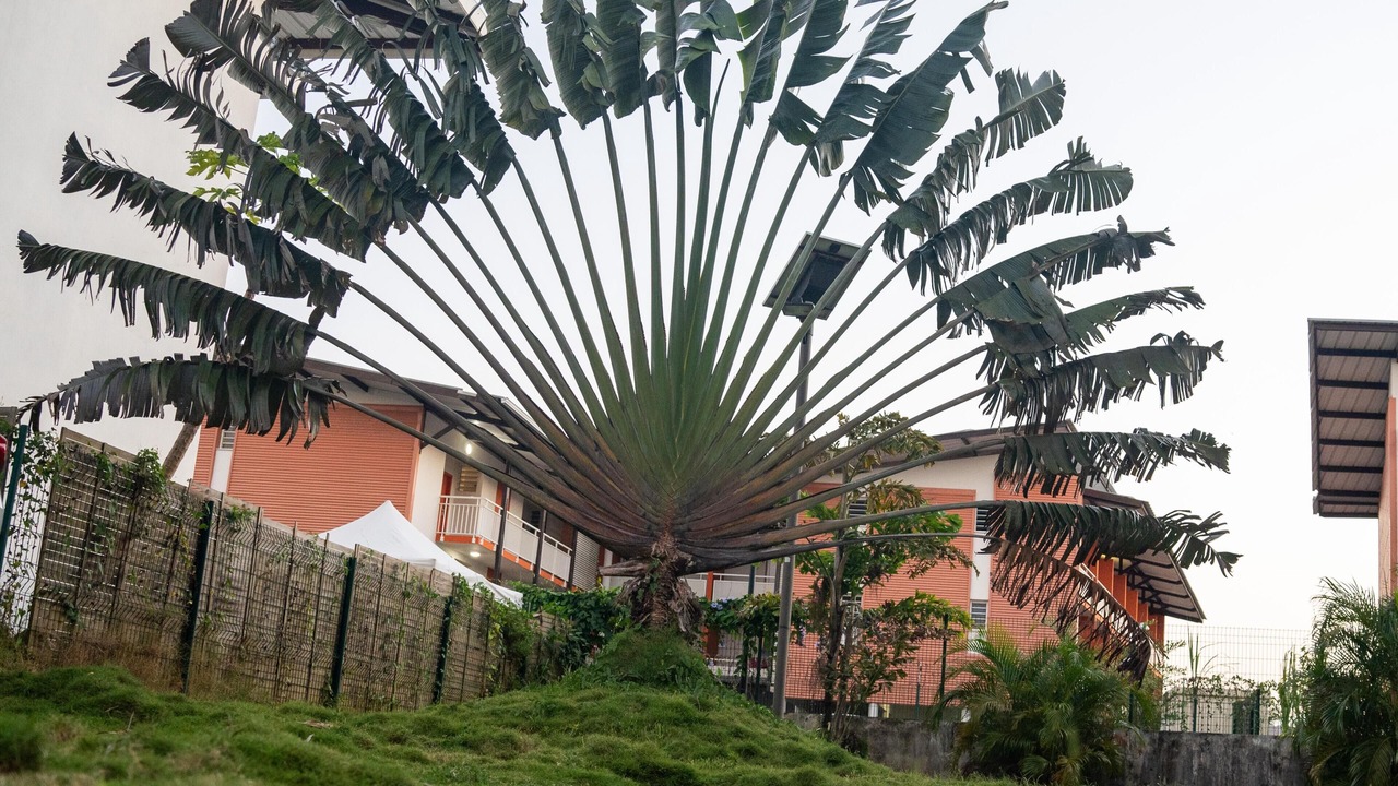 Photo of Outdoor in Cayenne