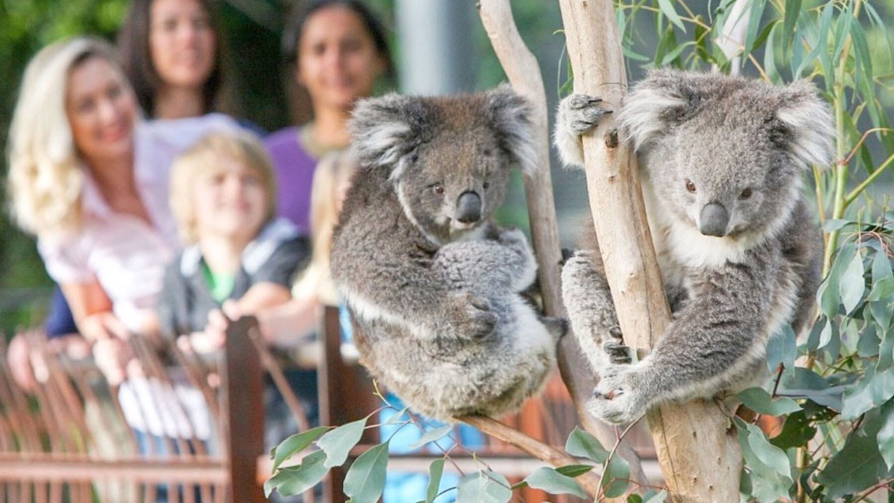 Photo of Others in Parkville
