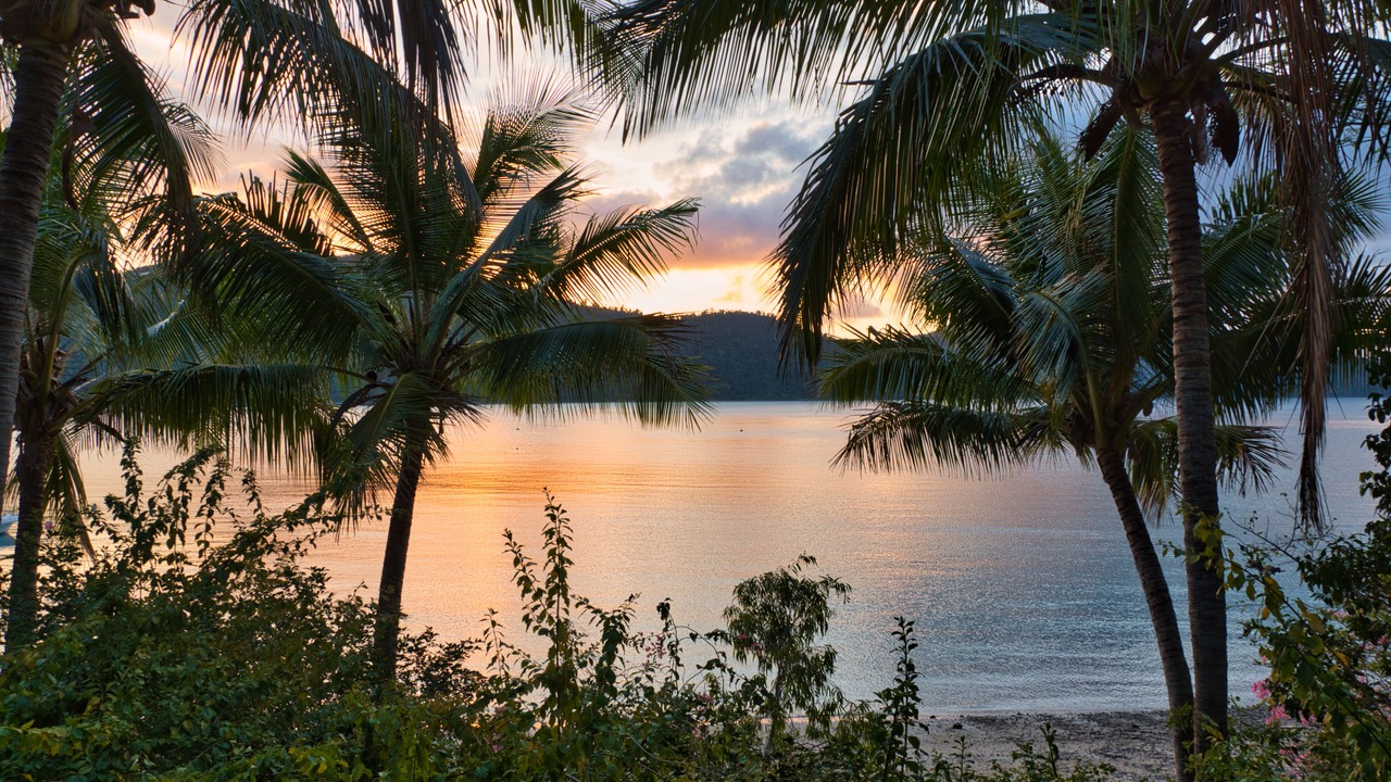 Photo of Outdoor in Long Island