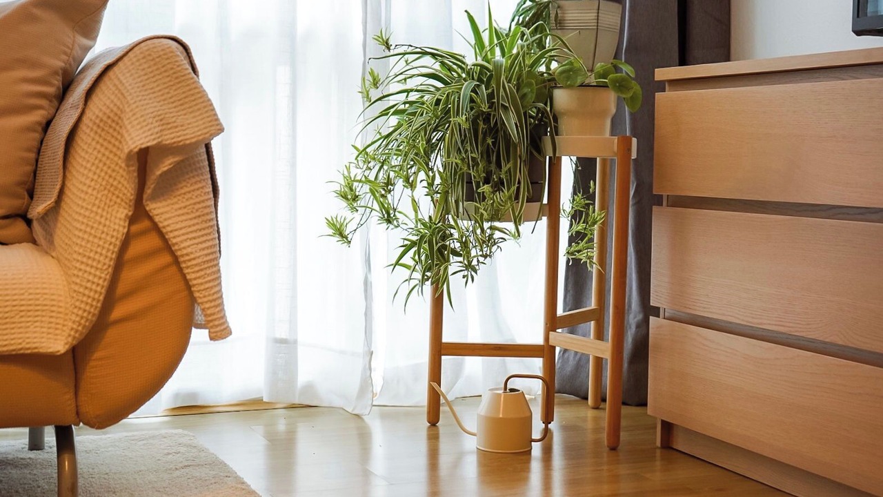 Photo of Bedroom in South Yarra