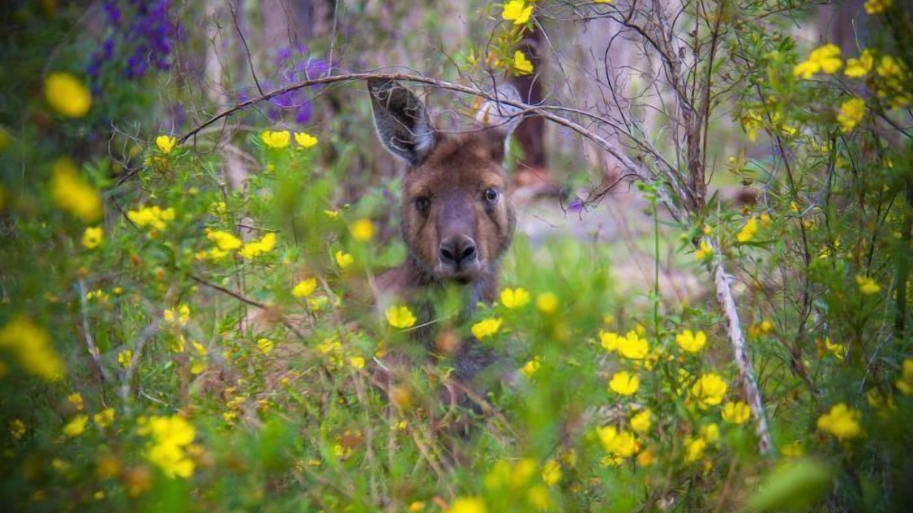 Photo of Others in Augusta
