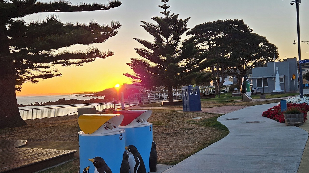 Photo of Outdoor in Penguin