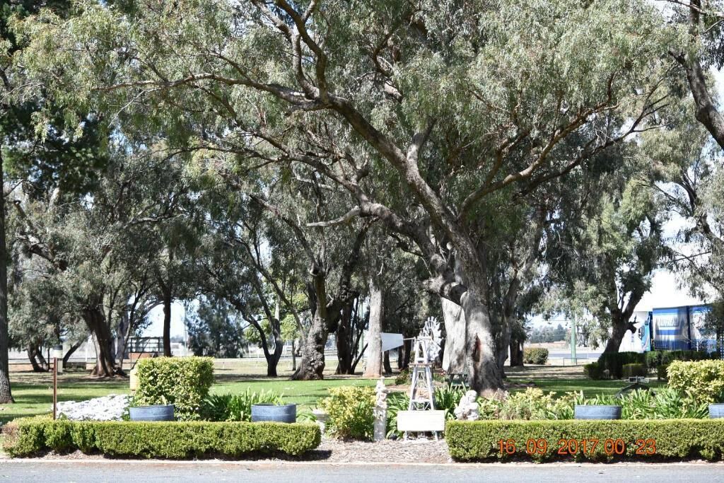 Photo of Outdoor in Gilgandra