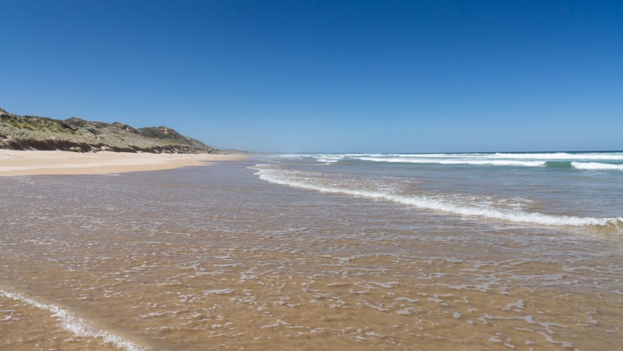 Photo of Others in Venus Bay
