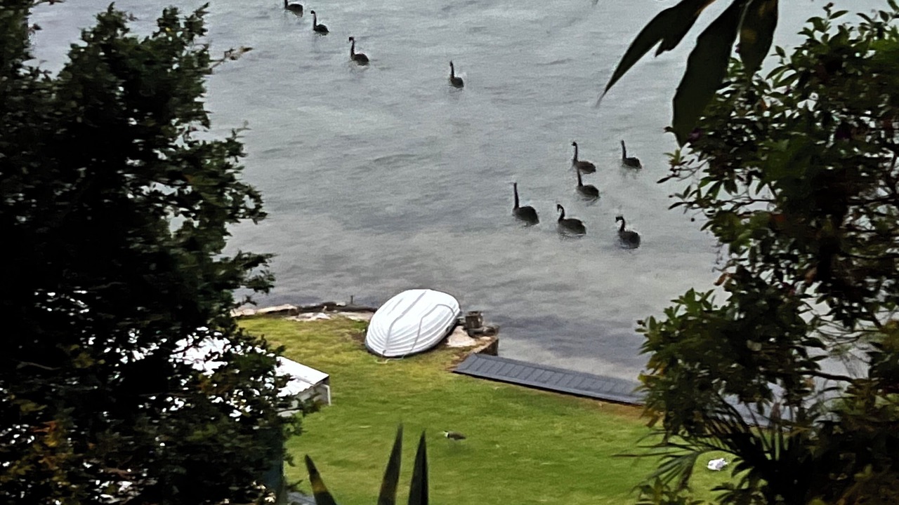 Photo of Outdoor in Marks Point