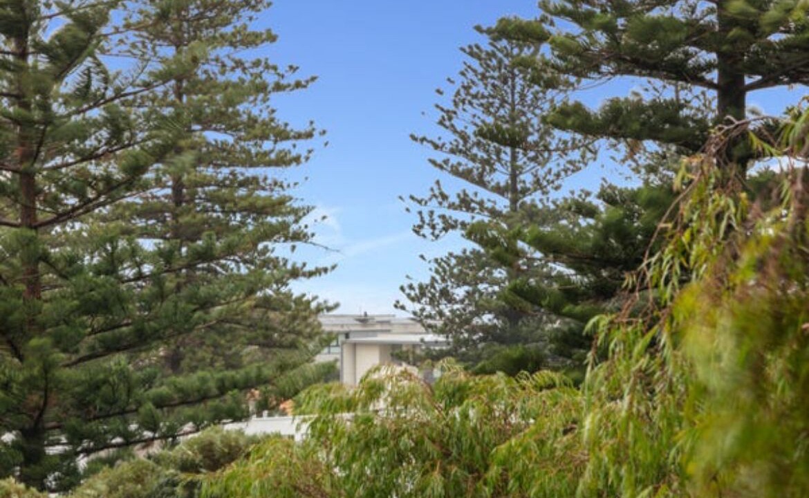 Photo of Others in Cottesloe