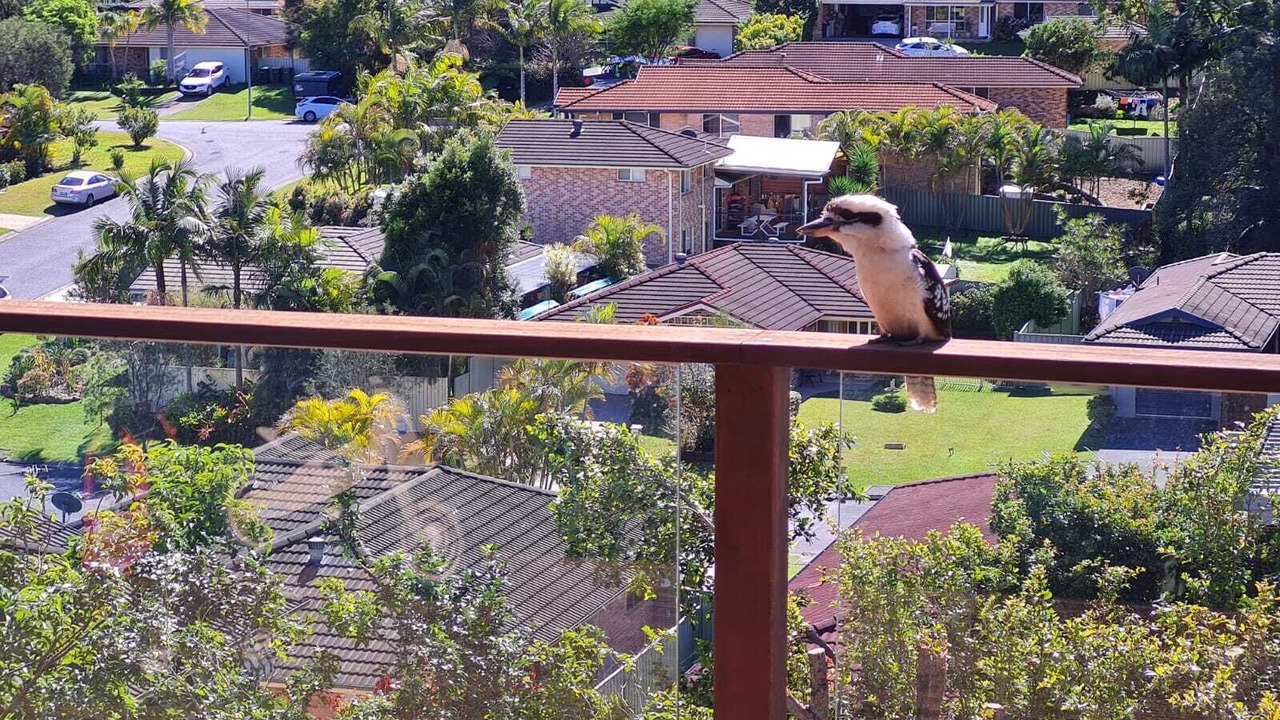 Photo of Outdoor in Coffs Harbour