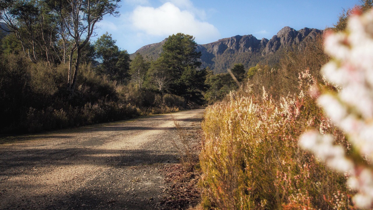 Photo of Outdoor in Gowrie Park