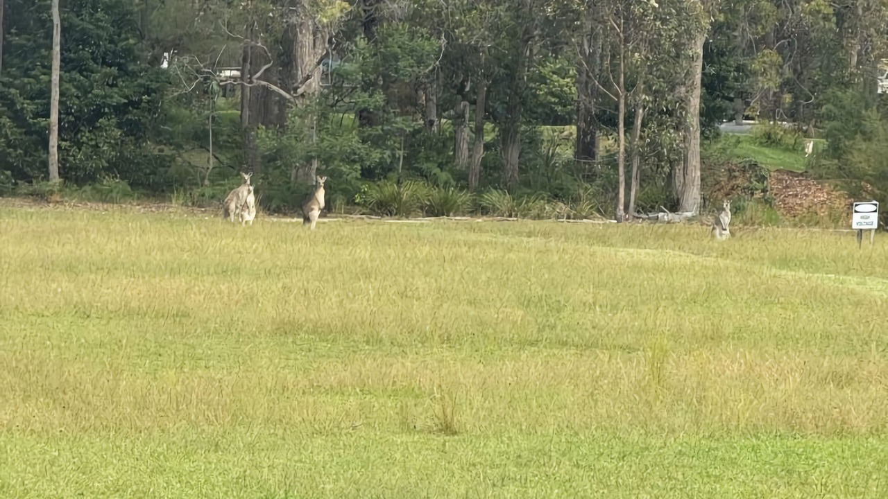 Photo of Others in Bournda