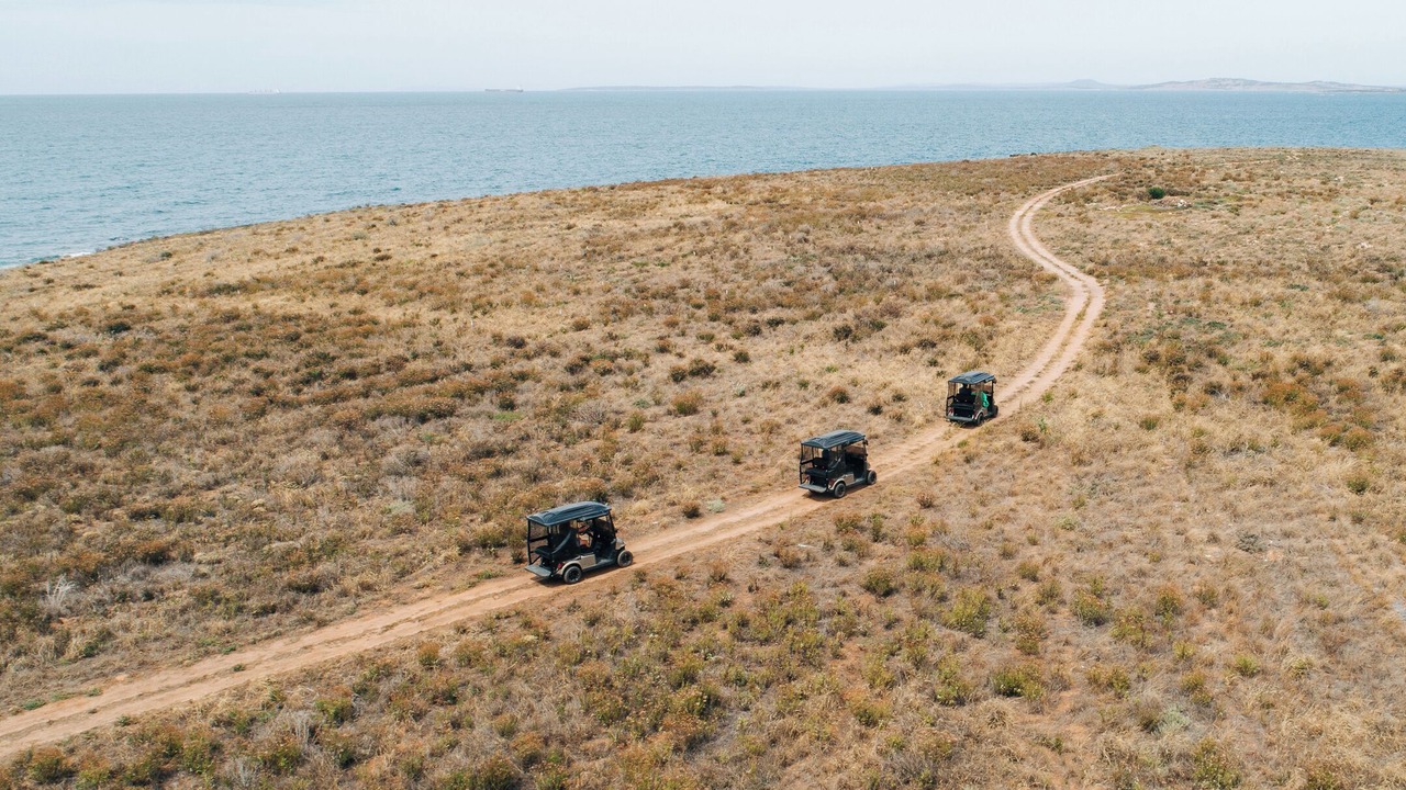 Photo of Others in Eyre Peninsula