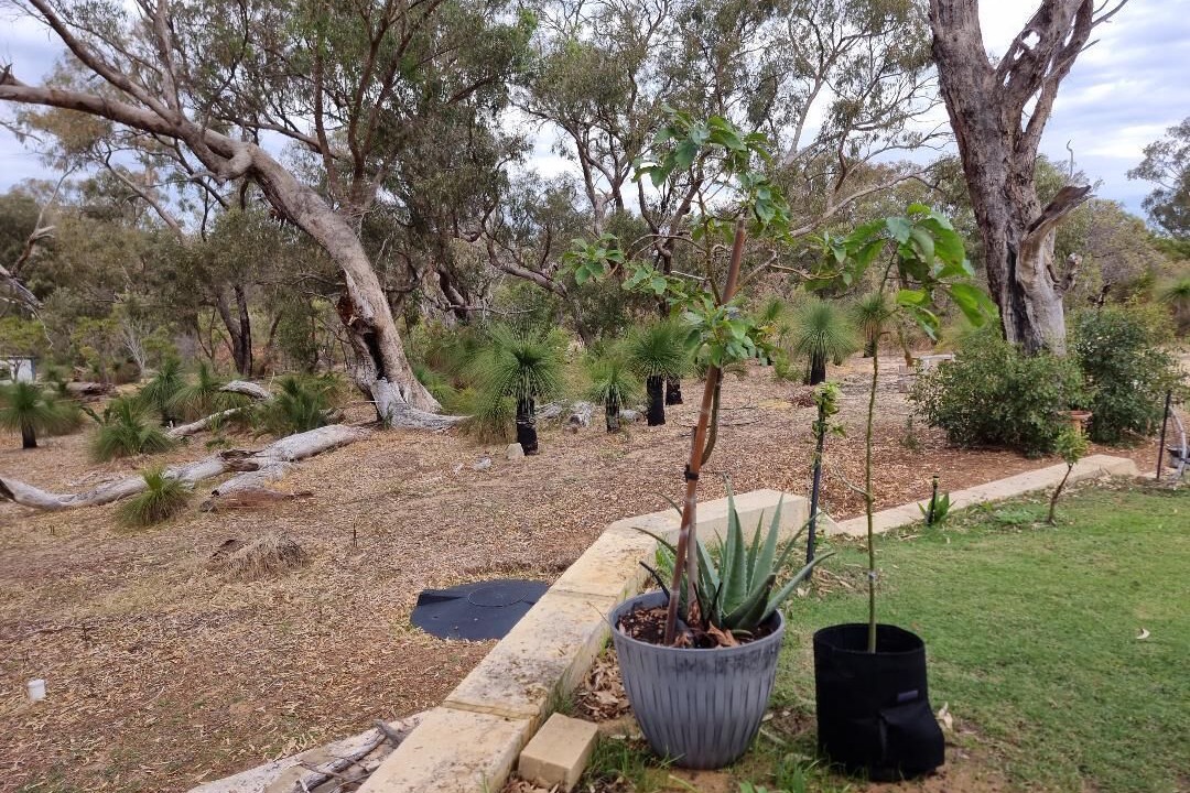 Photo of Outdoor in Two Rocks