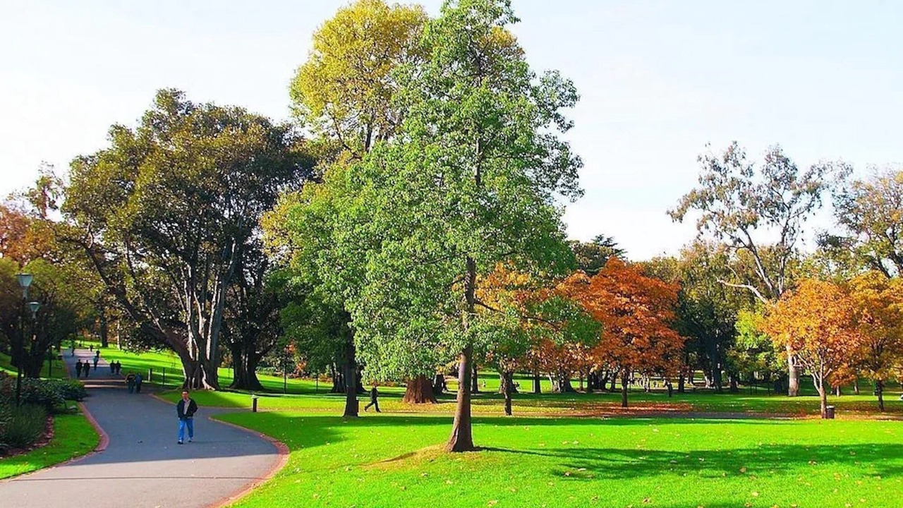 Photo of Outdoor in East Melbourne