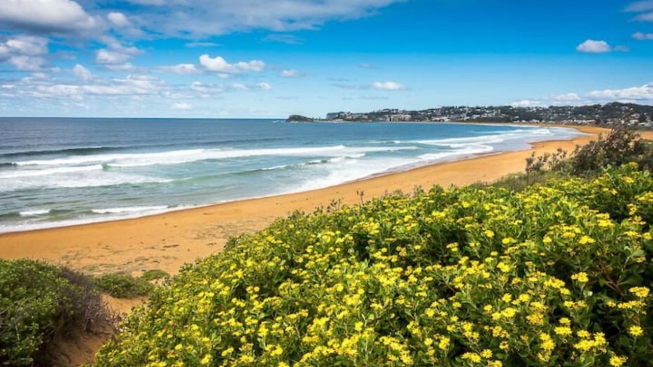 Photo of Others in Wamberal