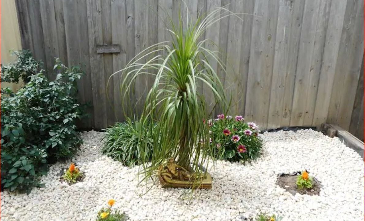 Photo of Outdoor in Werribee