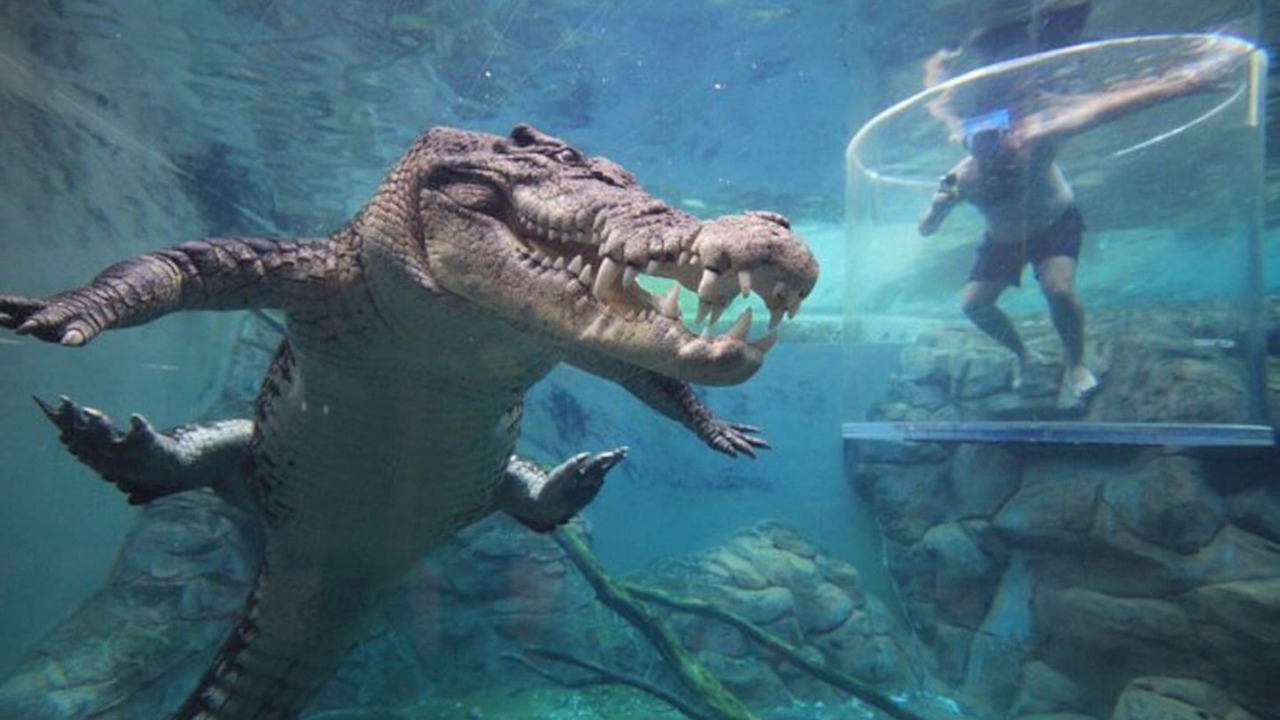 Photo of Others in Darwin City Centre
