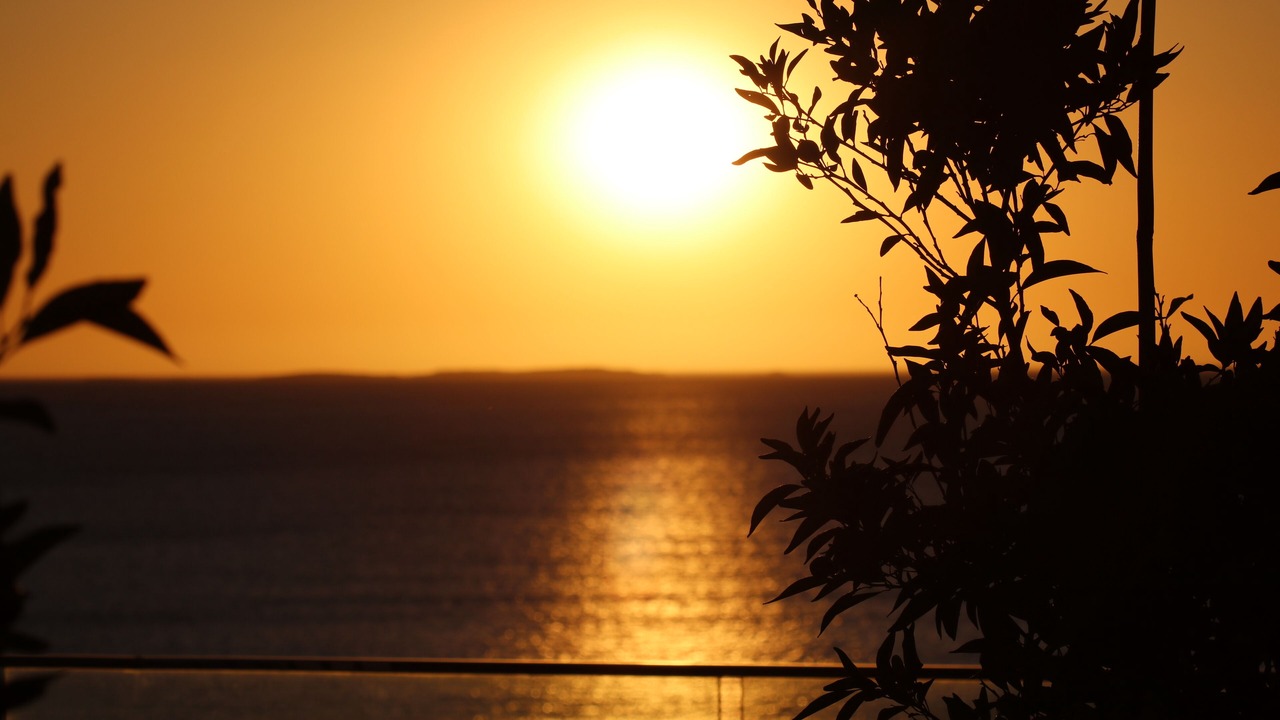Photo of Others in North Coogee