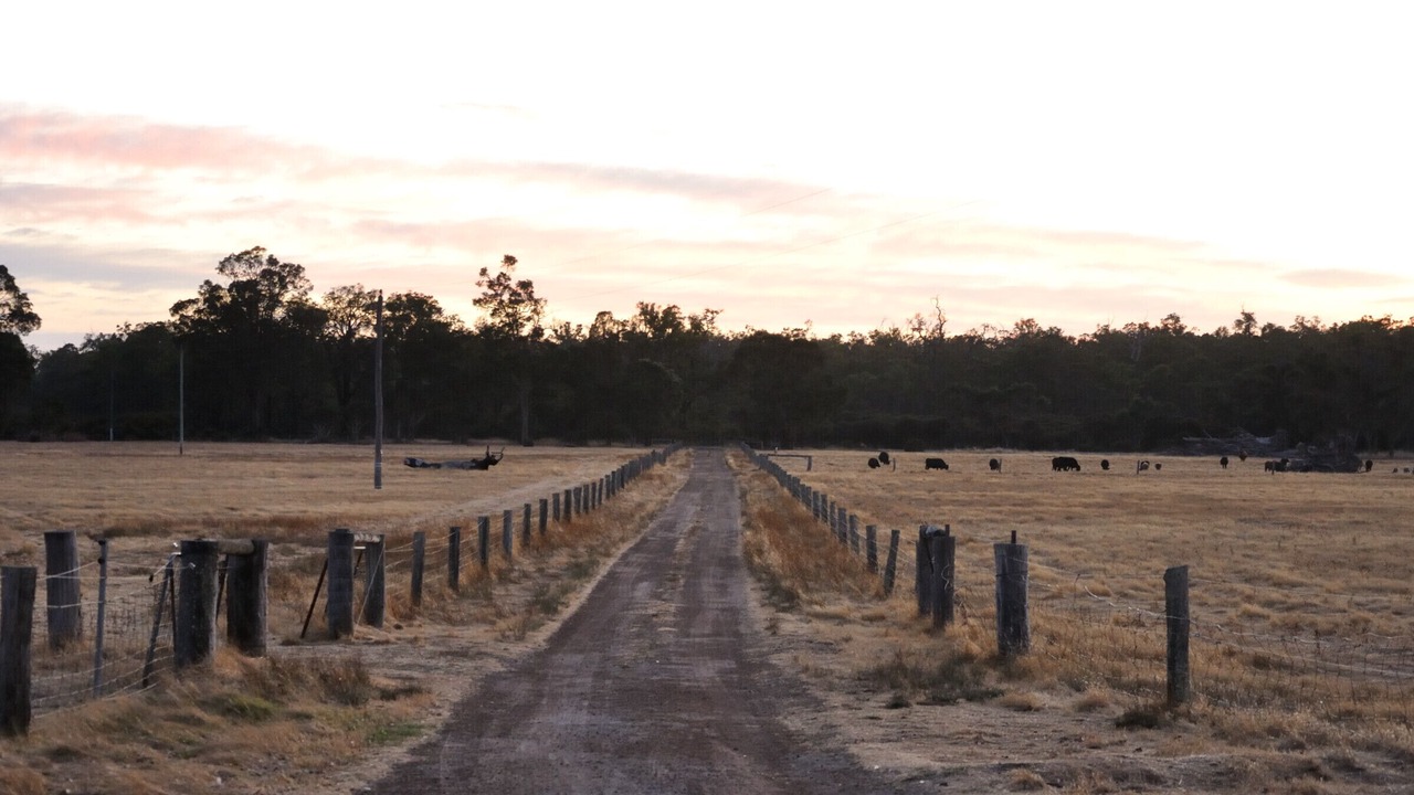 Photo of Outdoor in Wilga