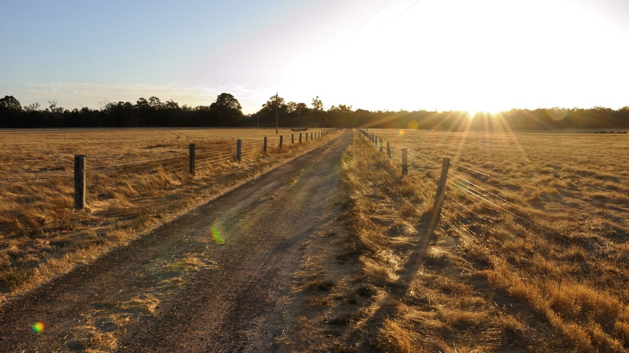 Photo of Outdoor in Wilga