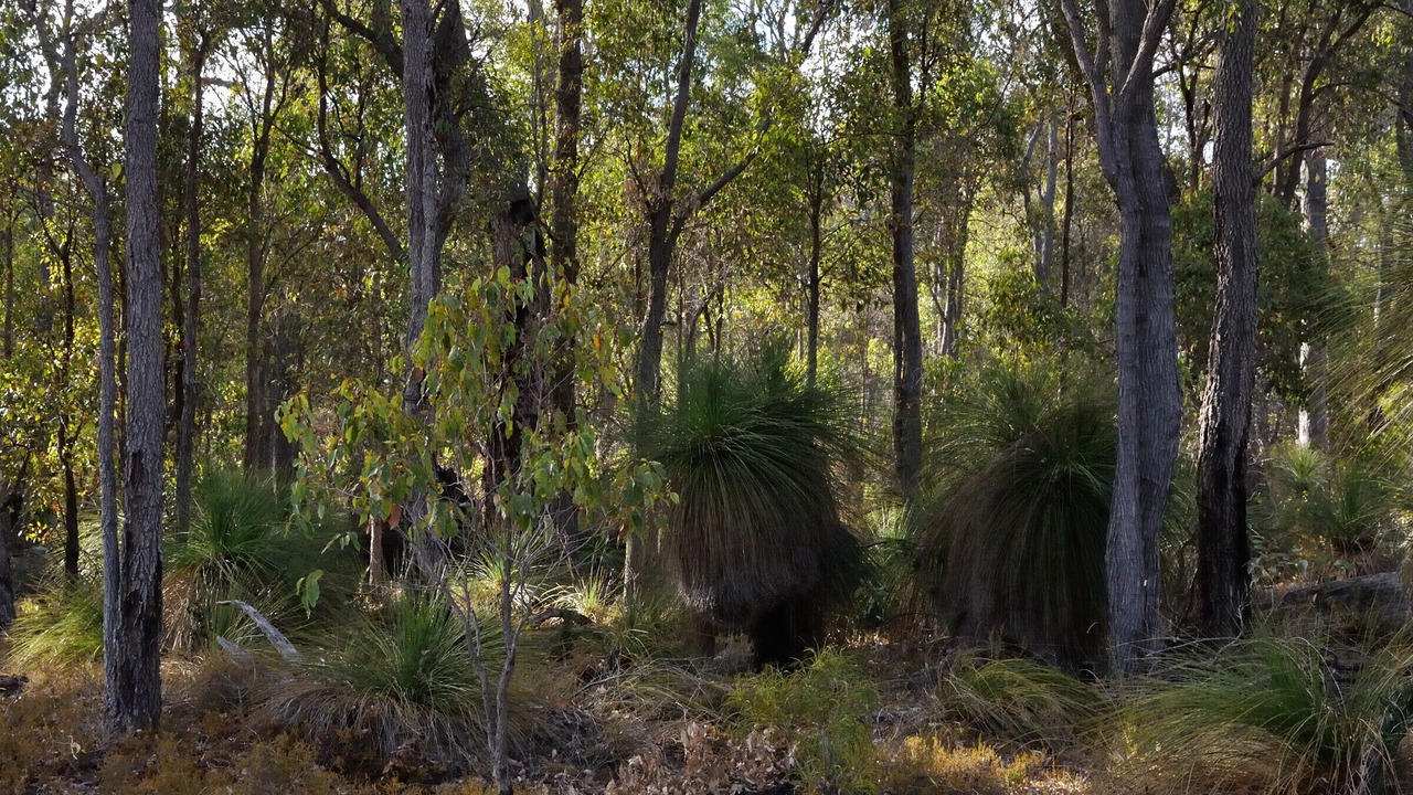 Photo of Outdoor in Wilga