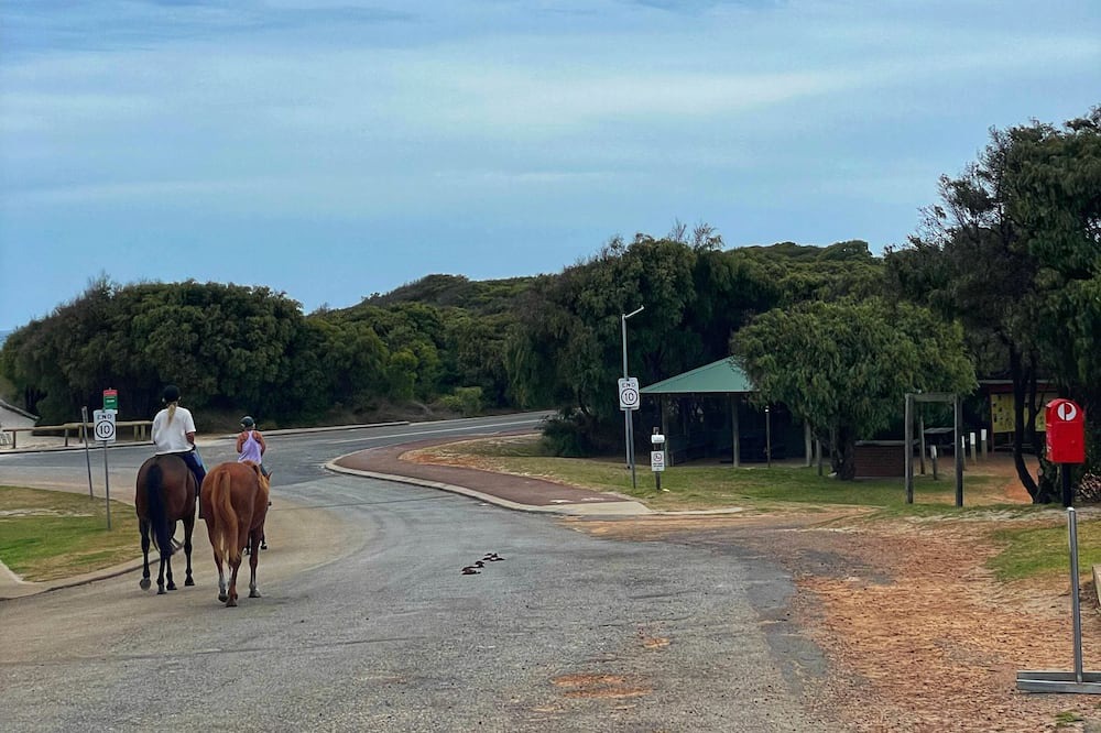 Photo of Outdoor in Nornalup