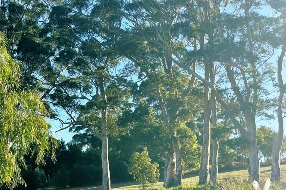 Photo of Others in Nornalup