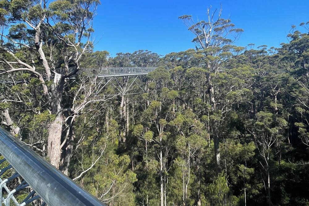 Photo of Outdoor in Nornalup