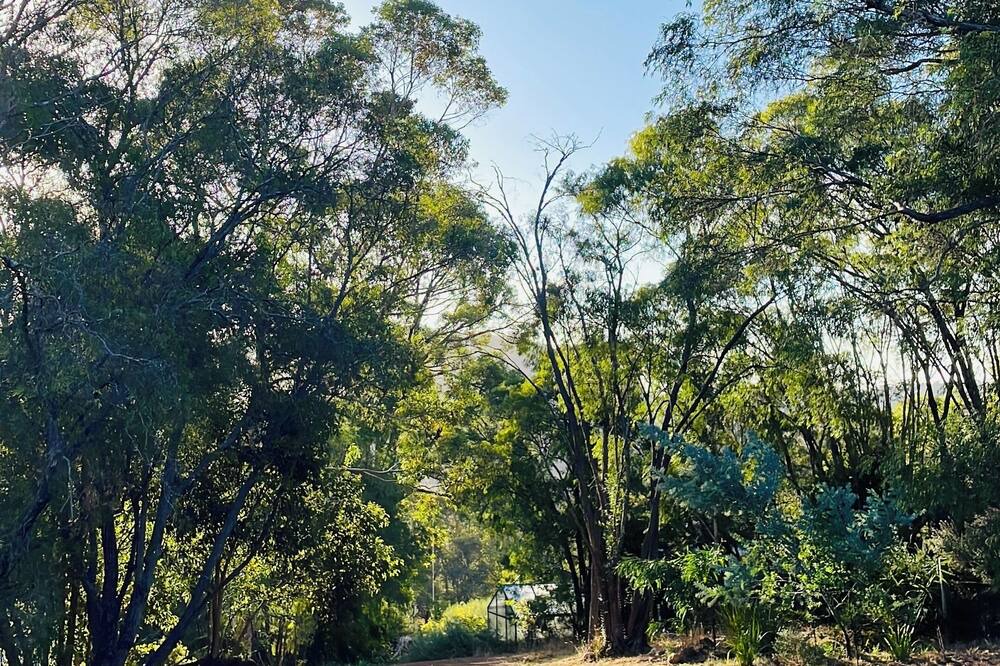 Photo of Outdoor in Nornalup