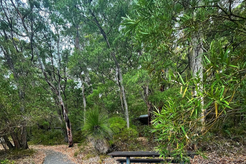Photo of Outdoor in Nornalup