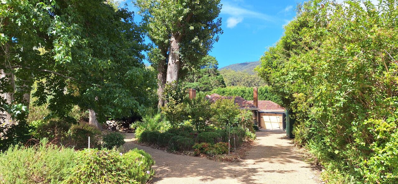 Photo of Outdoor in Warburton