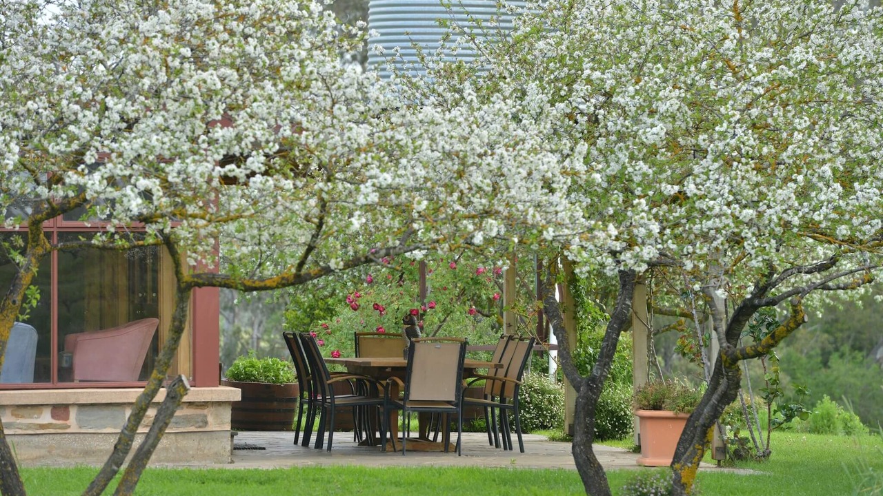 Photo of Outdoor in Spring Gully