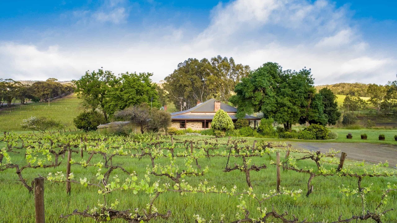 Photo of Outdoor in Spring Gully