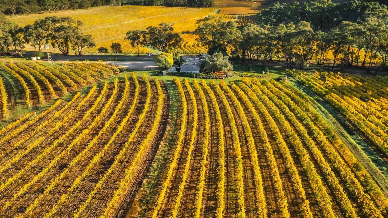 Photo of Outdoor in Spring Gully