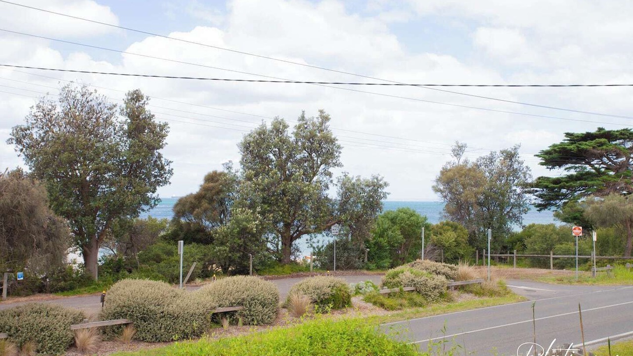Photo of Others in Indented Head