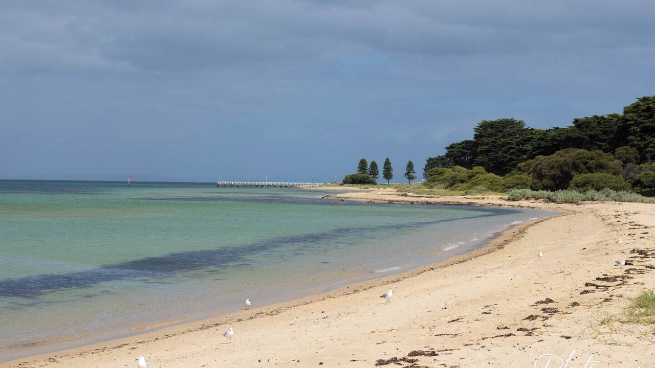 Photo of Others in Indented Head