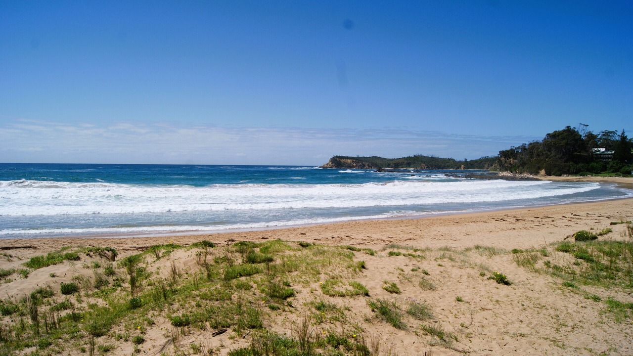 Photo of Others in Malua Bay