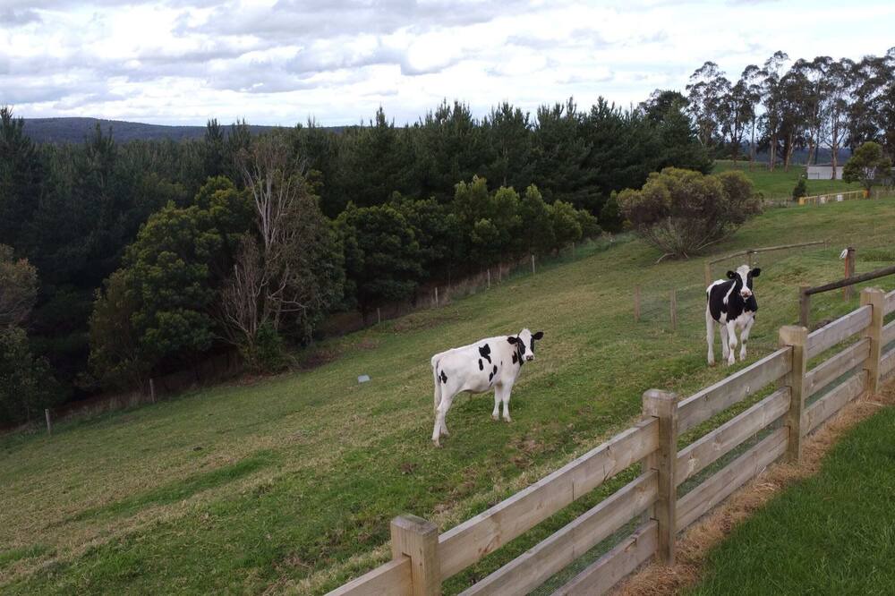 Photo of Others in Tyers