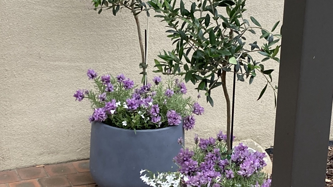 Photo of Outdoor in Traralgon