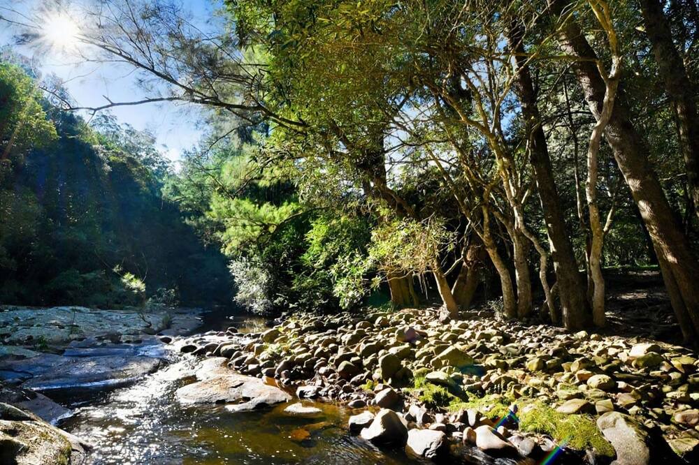 Photo of Outdoor in Wattamolla