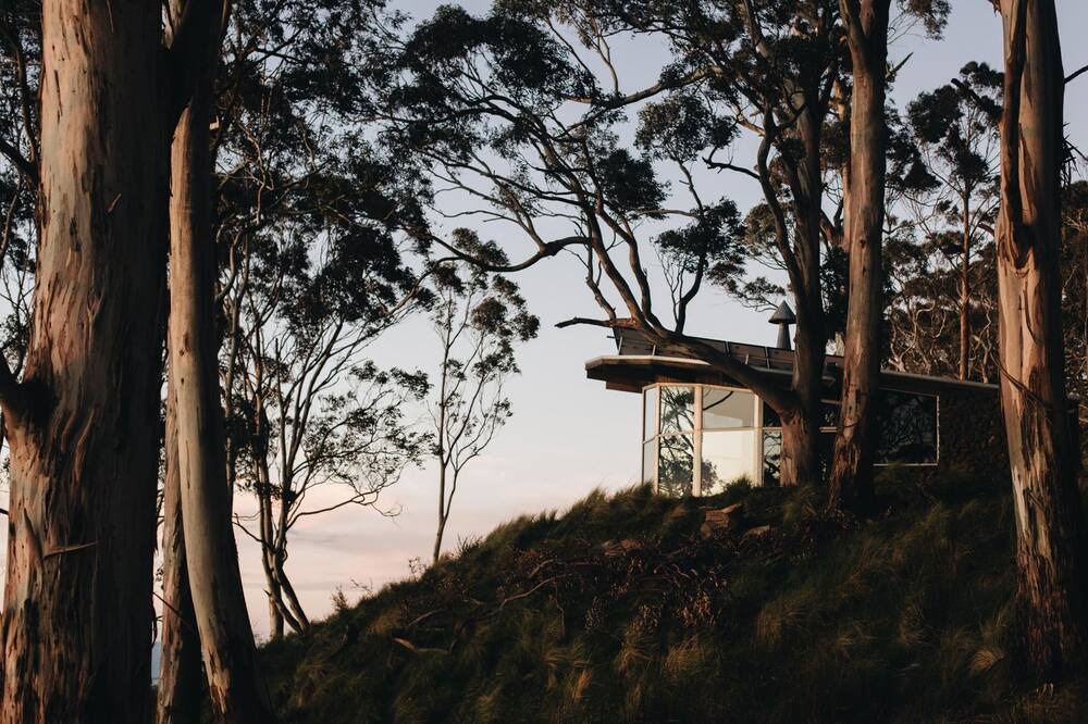 Photo of Outdoor in Belltrees