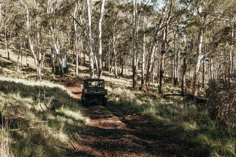 Photo of Outdoor in Belltrees