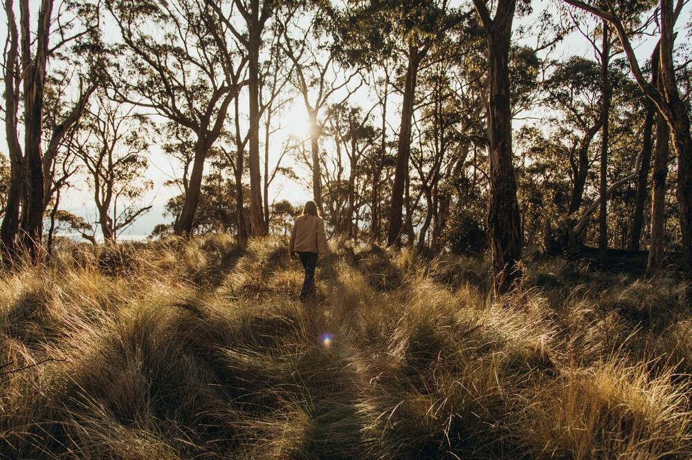 Photo of Others in Belltrees