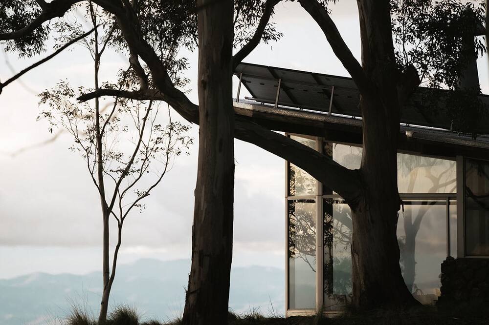 Photo of Outdoor in Belltrees