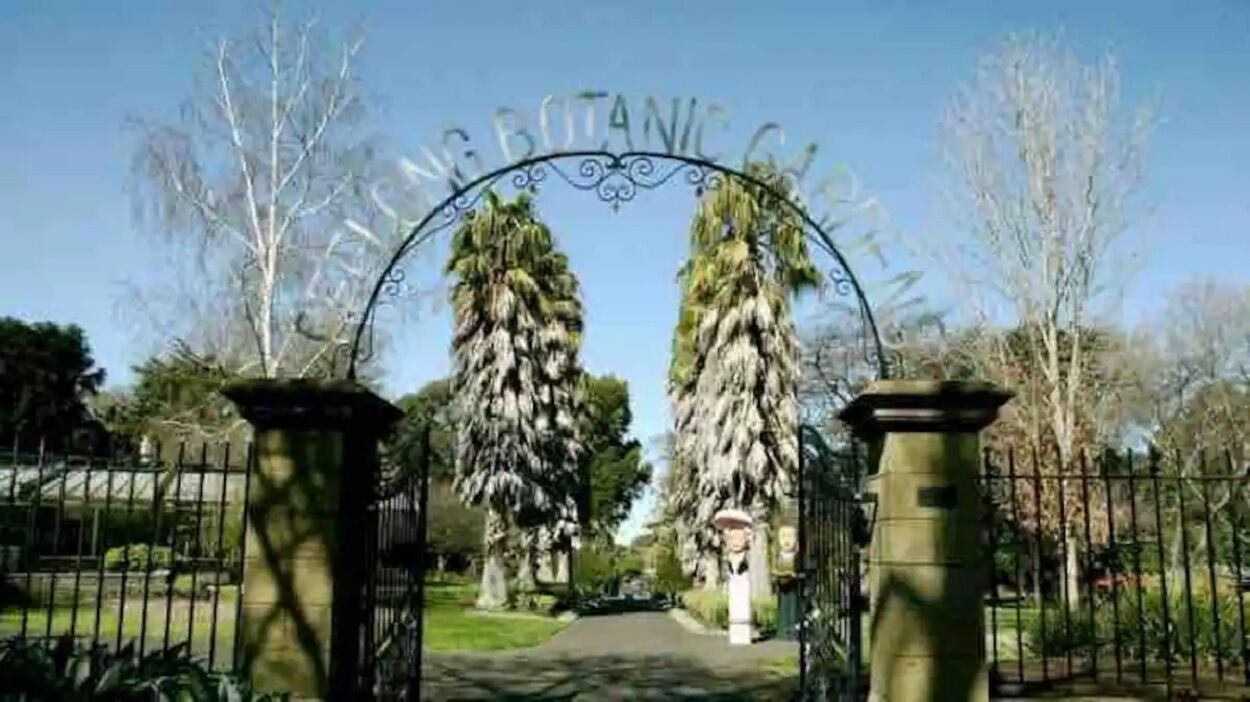 Photo of Outdoor in East Geelong