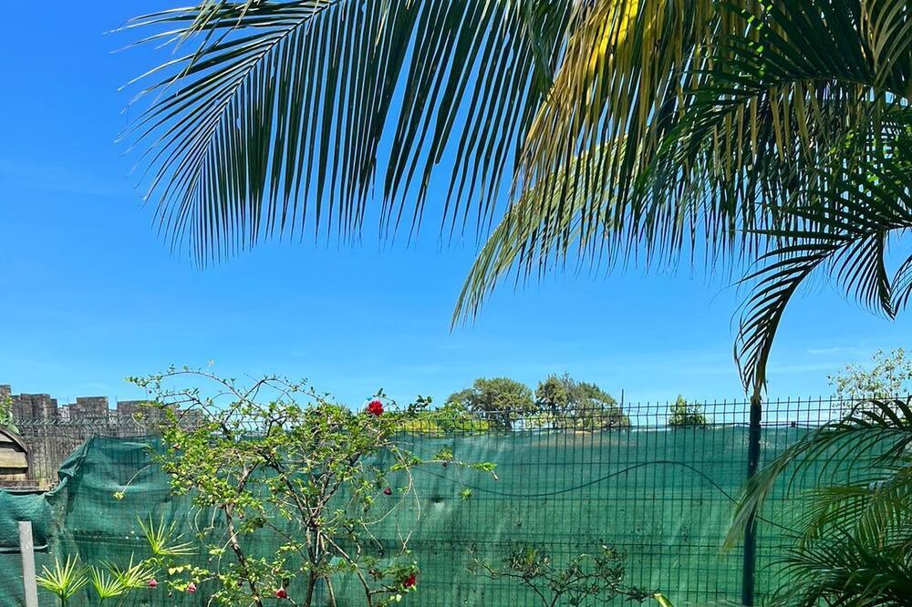 Photo of Outdoor in Cayenne