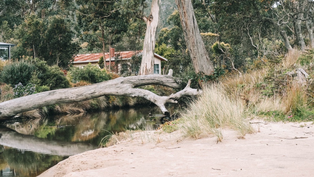 Photo of Outdoor in Huon Valley