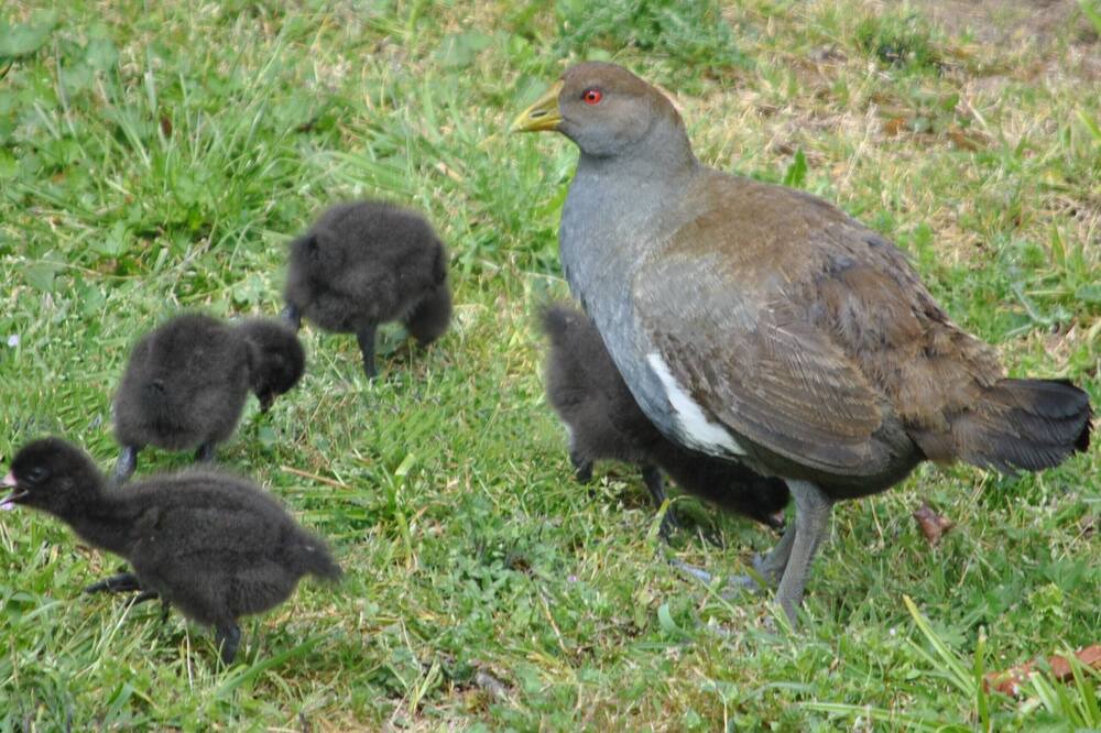 Photo of Others in Latrobe