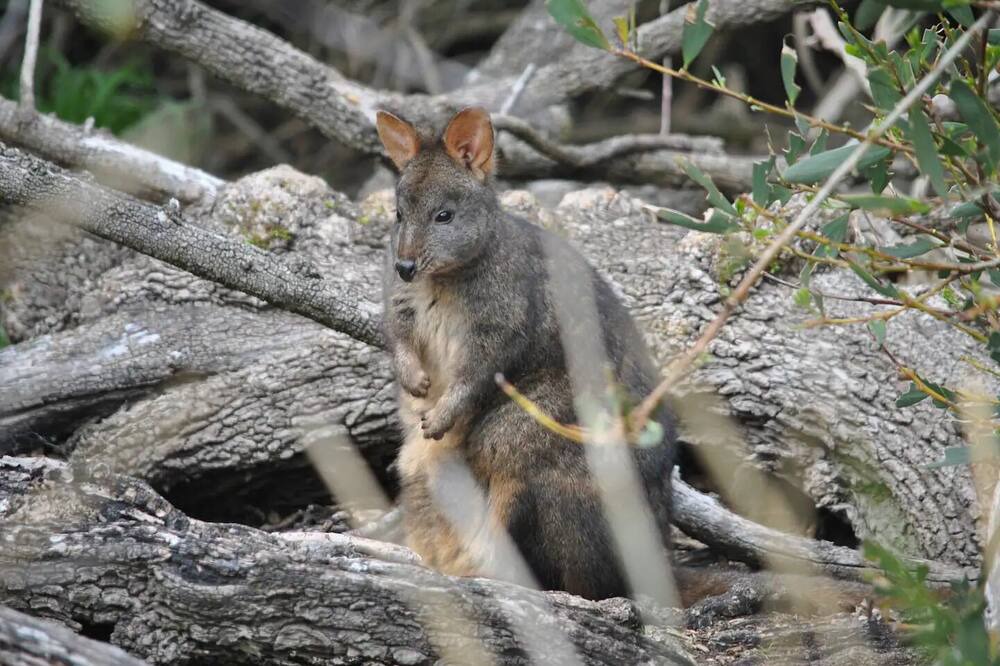 Photo of Others in Latrobe