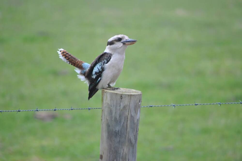 Photo of Others in Latrobe