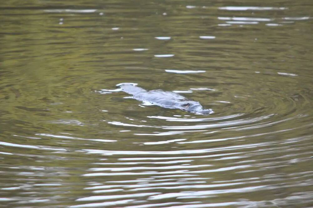 Photo of Others in Latrobe