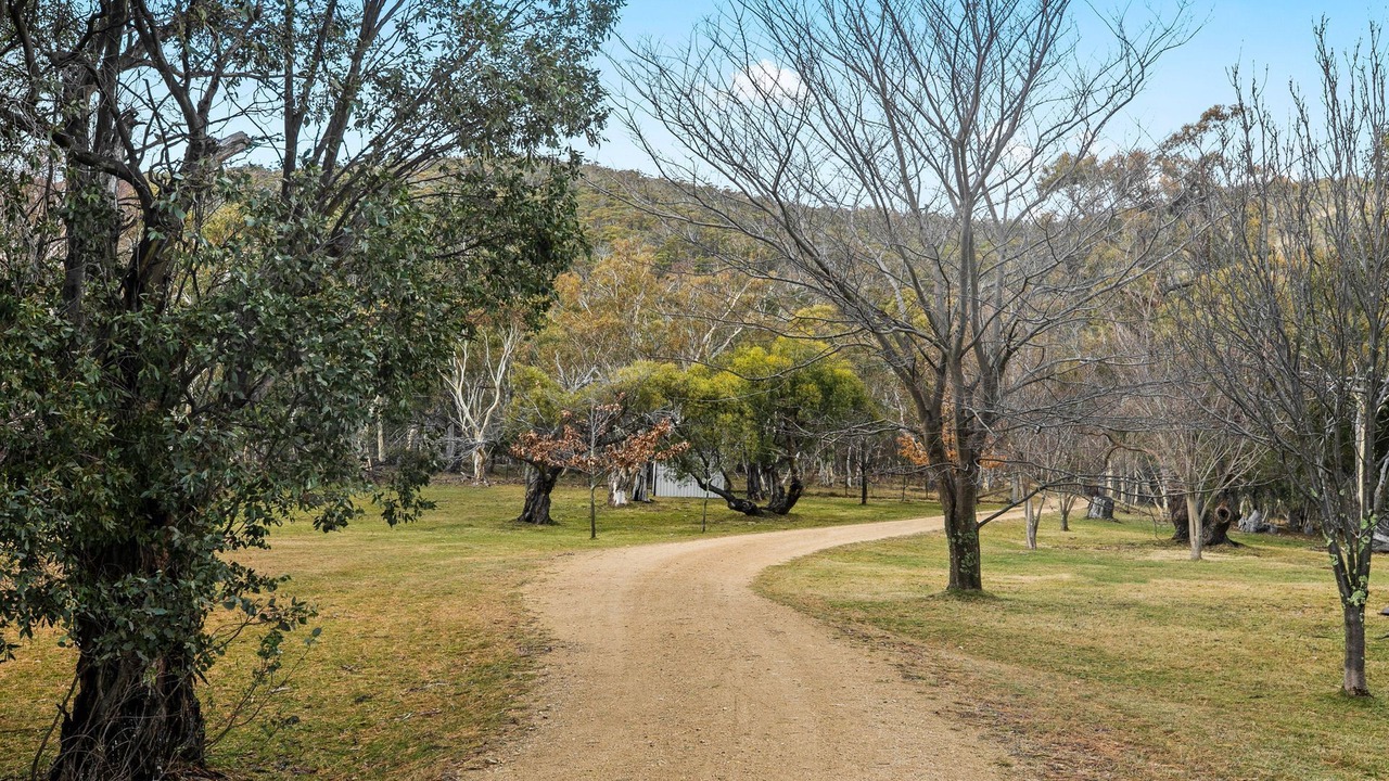 Photo of Outdoor in Crackenback